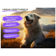 Ein flauschiger Hund sitzt auf einem Felsen mit Bergen und einem See im Hintergrund, mit Text über vegane Zutaten und ohne Tierversuche.