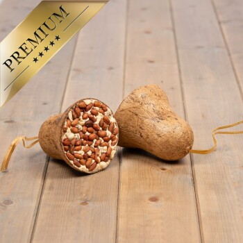 Ein hochwertiger Haustier-Leckerbissen in Form eines Kürbisses, gefüllt mit verschiedenen Nüssen, auf einer Holzoberfläche präsentiert.