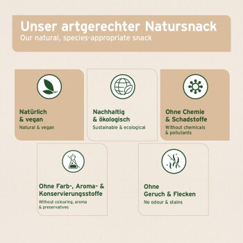 Collage von Hunden mit Kaustangen; hebt Vorteile wie Stressreduktion, Zahnreinigung und Spielen im Freien hervor. Enthält das AniForte-Logo.