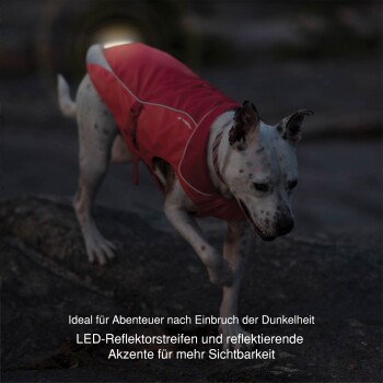 Ein gescheckter Hund in einer roten Jacke läuft über felsiges Terrain, mit dem Text: "Ideal für nächtliche Abenteuer. LED-reflektierende Streifen für Sichtbarkeit."