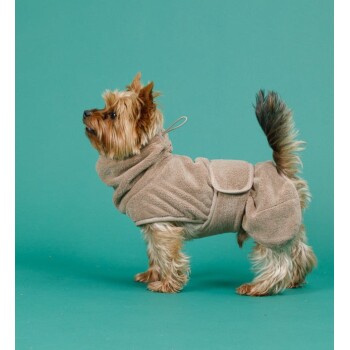 Ein kleiner Hund, ein Yorkshire Terrier, trägt einen beigen Fleece-Haustiermantel und steht vor einem tealfarbenen Hintergrund.