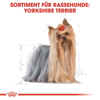 ROYAL CANIN Yorkshire Terrier Adult 1,5 kg