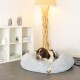 Ein braun-weißer Hund, der auf einem flauschigen grauen Haustierbett in einem modernen Wohnzimmer ruht, mit einer dekorativen Lampe und einem Bücherregal im Hintergrund.