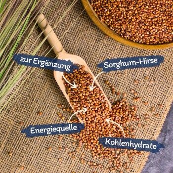 Eine hölzerne Schaufel, gefüllt mit Sorghumkörnern auf einer Juteschicht, mit Etiketten, die auf "zur Ergänzung", "Energiequelle" und "Kohlenhydrate" zeigen.