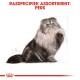 Illustratie van een Perzische kat met een fluffy vacht, zittend en één poot opheffend, vergezeld van de tekst "Rasspecifiek Assortiment: Pers" bovenaan.