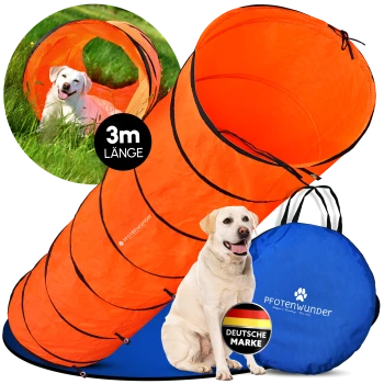 Ein glücklicher weißer Hund sitzt in einem hellorangefarbenen Tunnel auf grünem Gras und lächelt mit herausgestreckter Zunge in einer sonnigen Umgebung.