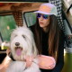 Flauschiger weißer Hund im pfirsichfarbenen Geschirr sitzt mit einer Frau in schwarzer Sportkleidung und pastellfarbener Cap in einem Wohnmobil