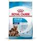 Royal Canin Starter Hundefuttertüte für Mutter und Welpen, mit Deutschen Schäferhunden auf der Vorderseite, gekennzeichnet für 1-2 Monate, Maxi-Größe.