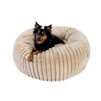 Kleiner schwarz-brauner Hund liegt auf einem runden, beigen, gerippten Plüschhaustierbett mit sichtbarem Stoffetikett.