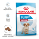 Torba karmy dla psów Royal Canin Puppy Medium dla szczeniąt w wieku 2-12 miesięcy, podkreślająca wsparcie odporności, rozwój mózgu i rozmiar krokietów.
