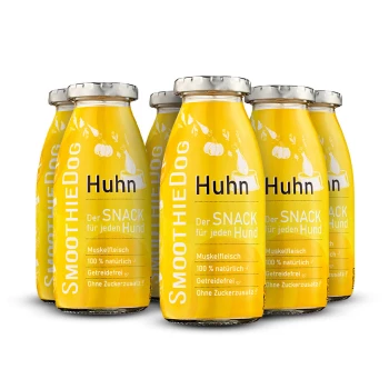 Sechs gelbe Smoothie-Flaschen mit der Aufschrift "SmoothieDog Huhn" und Phrasen: "Der SNACK für jeden Hund," "bestes Fleisch," "Superfoods," "100% natürlich," "Zuckerfrei!"