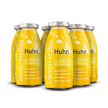 Sechs gelbe Smoothie-Flaschen mit der Aufschrift "SmoothieDog Huhn" und Phrasen: "Der SNACK für jeden Hund," "bestes Fleisch," "Superfoods," "100% natürlich," "Zuckerfrei!"