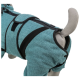 Eine Nahaufnahme eines türkisfarbenen Hundemantels mit schwarzen Riemen, auf einem Schaufensterhund präsentiert, der seine Textur und sein Design zeigt.