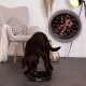 Ein brauner Labrador-Retriever frisst aus einer schwarzen, spiralförmigen Haustierschüssel auf einem gefliesten Boden, mit einem gemütlichen Stuhl und einer Lampe im Hintergrund.