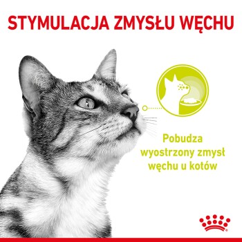 Zbliżenie na skupioną twarz kota z polskim tekstem: "STYMULACJA ZMYSŁU WĘCHU" i "Pobudza wyostrzony zmysł węchu u kotów."