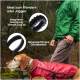 Eine Person in einer grünen Jacke führt einen braunen Hund im roten Mantel im Wald, zeigt eine Leine mit Wander- und Joggingfunktionen.