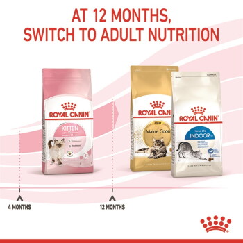 Royal Canin cat food bags (Kitten, Maine Coon, Indoor 27) with text 'AT 12 MONTHS, SWITCH TO ADULT NUTRITION'.