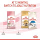 Royal Canin cat food bags (Kitten, Maine Coon, Indoor 27) with text 'AT 12 MONTHS, SWITCH TO ADULT NUTRITION'.