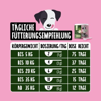 Dose von "Prä & Probio Kur für Hunde" mit grünem und pinkem Design, mit Text zur Unterstützung der Darmfunktion, des Immunsystems und der täglichen Anwendung.