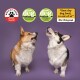 Two barking corgis against a purple background with awards for best dog food and a quote from The Telegraph: "10 out of 10."