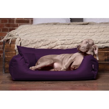 Ein entspannter grauer Hund, der in einem plüschigen lila Haustierbett liegt, mit einer gemütlichen gestrickten Decke und einem Holzrahmen im Hintergrund.
