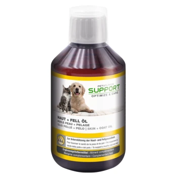 Find the Right Dog Food for Skin and Coat Itching MAXI ZOO