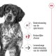 Close-up van een serieuze zwart-witte hond met tekst: "Spierondersteuning," "Natuurlijke verdediging," "Levenslange vitaliteitssteun."