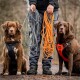 Schleppleine für Hunde - Tauleine mit Abnehmbarer Handschlaufe grau L