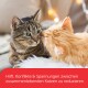 Zwei Katzen, eine getigerte und eine orange, schmusen auf einer gemütlichen Decke. Text darunter: "Hilft, Konflikte zwischen lebenden Katzen zu reduzieren."
