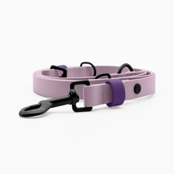 Eine lavendelfarbene Haustierleine mit einem lila Griff und schwarzen Clips, ordentlich auf einem weißen Hintergrund gewickelt.