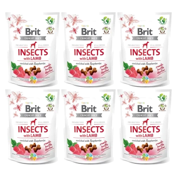 Sześć torebek Brit Crunchy Snack dla psów, z 'Owady z Jagnięciną' wzbogacone malinami, wspierające zdrowe trawienie.