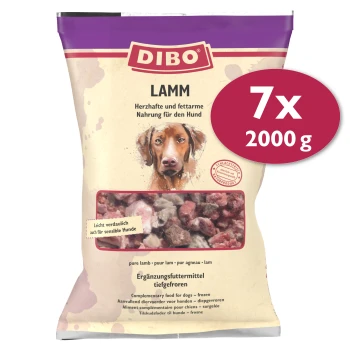 DIBO Lamm-Hundefutterverpackung, 2000g, mit einer Mischung aus gefrorenen Lammstücken, gekennzeichnet als geeignet für empfindliche Hunde.
