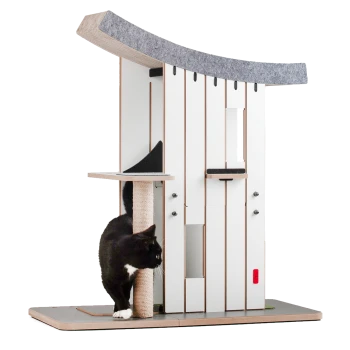 Eine schwarz-weiße Katze erkundet einen modernen Katzenbaum mit einer gebogenen Filzoberseite, einem Kratzbaum und mehreren Plattformen.