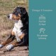 Ein schwarzer, brauner und weißer Hund sitzt auf einem Baumstamm. Der Text lautet "Omega 3 Complex" mit Symbolen für Haut, Fell und psychische Gesundheit.
