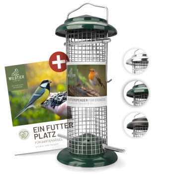 Ein grüner Vogelfutterspender mit einem Metallgitterdesign, mit einem Etikett, das "FUTTERSPENDER FÜR ERDNÜSSE" liest und Bildern von Vögeln.