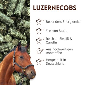 Nahaufnahme von grünen gepressten Heupellets für Kleintiere, strukturiert und zylindrisch, in einem quadratischen Rahmen.