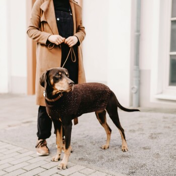 Eine Frau in einem braunen Mantel steht im Freien mit einem angeleinten Hund, der einen gemütlichen braunen Pullover trägt, und schaut aufmerksam zur Seite.