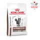 Royal Canin Veterinary Gastrointestinal Katzenfutterbeutel, mit einer grauen getigerten Katze, beschriftet mit "Moderate Calorie" und "Veterinary Nutrition."