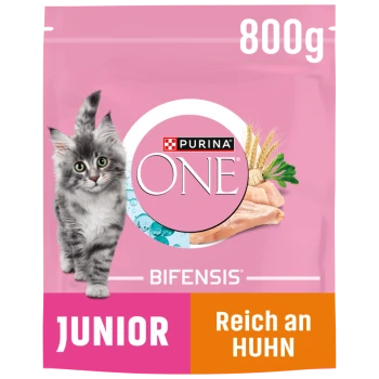 Purina ONE Bifensis Katzenfutterbeutel, 800g, mit einem flauschigen grauen Kätzchen auf der Vorderseite, beschriftet mit "JUNIOR" und "Reich an HUHN."