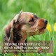 Brauner Welpe im Gras; Text: 'Tägliche Unterstützung durch das Plus aus der Natur / Daily support through the power of nature'.