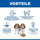 Überschrift 'VORTEILE'; zwei Beagle-Welpen neben einer Schale Trockenfutter (das Gesicht eines Welpen unscharf); Symbole und deutscher Vorteilstext zu Augen, Muskulatur, Verdauung, Knochen.