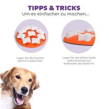 Das Gesicht eines Golden Retrievers wird links gezeigt, mit einem bunten interaktiven Hundespielzeug rechts, das Tipps auf Deutsch zur Verwendung enthält.