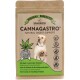 Natürliche Superfood-Verpackung für Haustiere mit der Aufschrift "Cannagastro" und einem Hundebild, das Ansprüche auf natürliche Verdauungsunterstützung, kein GMO, kein Weizen und keinen Zucker enthält.