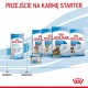 Babydog Milk Mleko w proszku 400 g