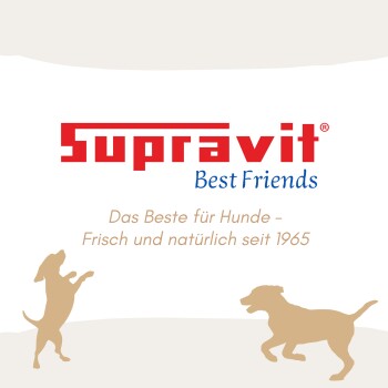 Hund hält eine leere Metallschüssel mit deutschem Text, der die tägliche Futtermenge basierend auf dem Gewicht des Hundes empfiehlt.