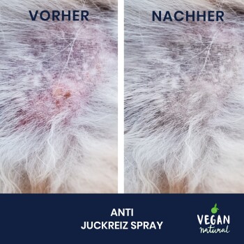 Vorher- und Nachher-Bilder der Haut eines Haustiers, die eine Verbesserung nach der Verwendung von "Anti Juckreiz Spray" zeigen, beschriftet mit "VORHER" und "NACHHER."