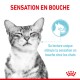Sensory Feel en sauce pour chats exigeants 12x85 g