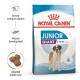 Royal Canin Junior Giant dog food bag with a St. Bernard, promoting strong immunity, muscle growth, and tailored kibble size.