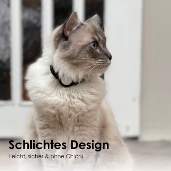 Eine flauschige, hellfarbige Katze mit blauen Augen und einem schwarzen Halsband sitzt anmutig, mit Textüberlagerung: "Schlichtes Design - Leicht, sicher & ohne Chichi."