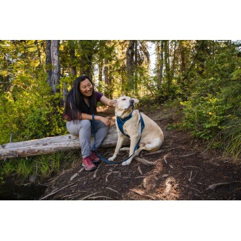 Eine Frau sitzt auf einem Baumstamm in einem bewaldeten Gebiet und streichelt sanft einen hellen Hund mit einem blauen Geschirr, umgeben von Grün.